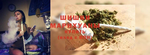 эйфоретик Кукмор