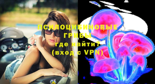 эйфоретик Кукмор