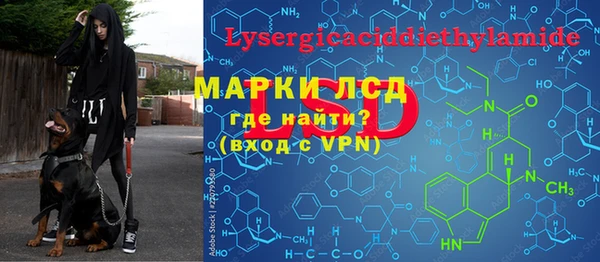 эйфоретик Кукмор