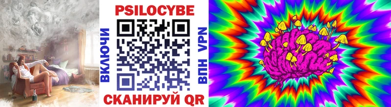 Купить  Железноводск  Псилоцибиновые грибы Cubensis 